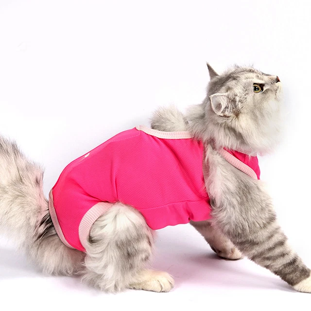 Cat Shirt Quick-dry Close-fitting After Surgery Wear Kitten Outfit 3 Sizes