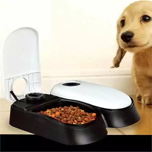 Automatischer Katzenfutterautomat 2 Mahlzeiten stark robust programmierbar 48 Stunden Timer nass oder trocken