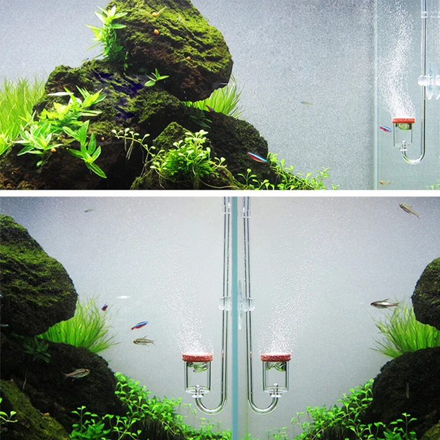 Acryl Aquarium CO2 Kohlendioxid Zerstäuber Blase Reaktor Diffusor Blasenzähler