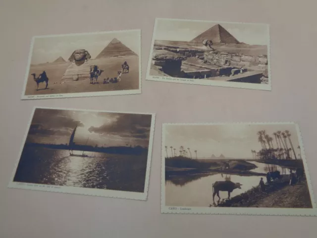 Lot of 14 Egypt Postcards