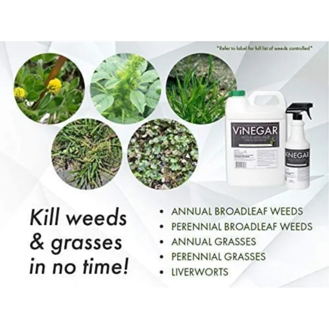 Energen Carolina Vinegar Organic Weed & Grass Killer, Glyphosate Free, 1 Gallon 2