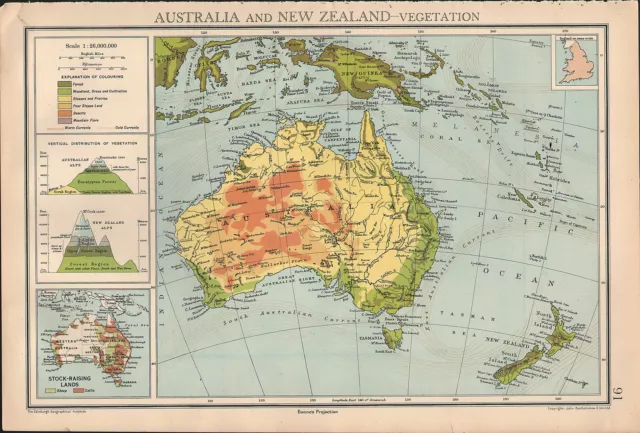 1936 MAP ~ AUSTRALIA & NEW ZEALAND VEGETATION VERTICAL DISTRIBUTION FOREST etc