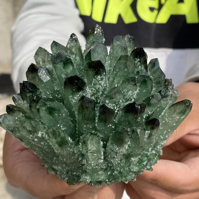 1.30LB New Find Green Phantom Quartz Crystal Cluster Mineral Specimen Healing 9