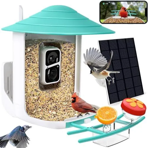Smart Bird Feeder Camera with Solar Panel, 1080P HD & 160° Wide-Angle Camera