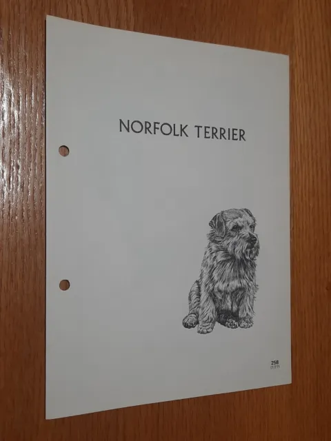 Norfolk Terrier Breed Supplement RAS Kennel Control Sporting Terriers Group 2