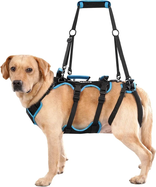 Kerbl Harnais Antipanique Miami Petrol – 64-100 Cm, 25 Mm – Pour Chiens Agités Et Anxieux