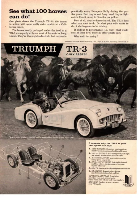 1959 Standard Triumph Motor Company TR3 2 Seat Roadster 100 HP $2675 Print Ad