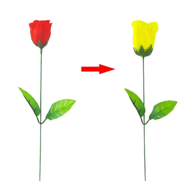 Discoloration Roses (Red Change Yellow) Rose Magic Tricks Change Roses Magic✔