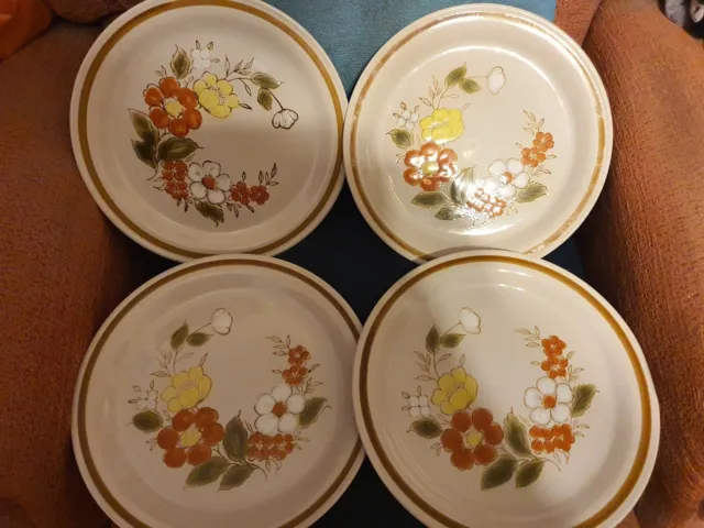 4 X Vintage Mountain Wood Collection Trellis Blossom Dinner Plates 27cm (B)