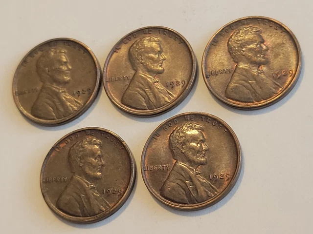 1929 Lincoln Wheat Cent Penny Lot of 5 Gorgeous Coins! Philadelphia US Mint! 9