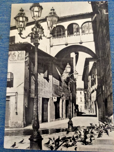 carrolina Citta di Castello