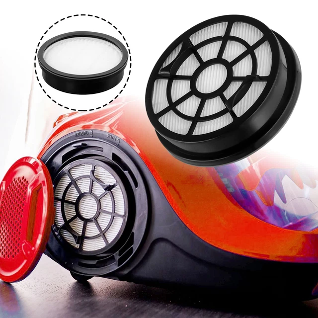 DingGreat Set Di 2 Filtri HEPA Di Ricambio Per Rowenta Swift Power Cyclonic RO29xx – Sostituti Per ZR904301, RO2910EA, RO2932EA