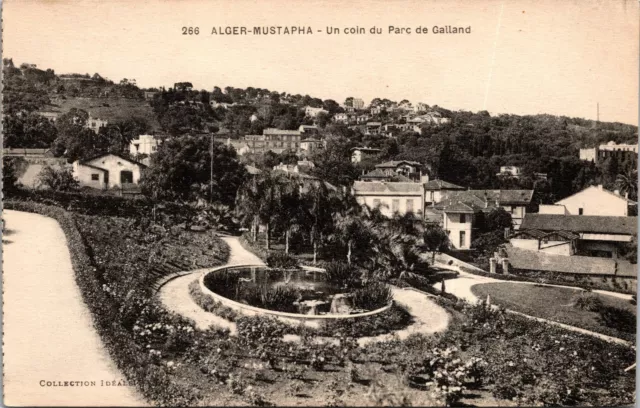 Alger Algeria Mustapha Postcard unused 1920s RPPC
