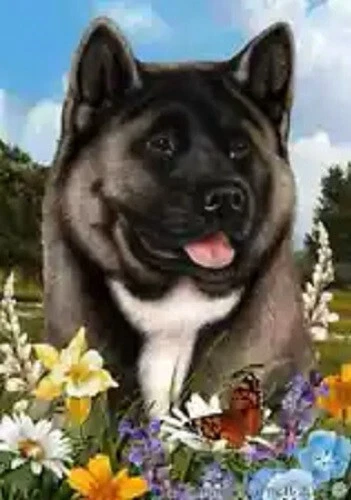 Summer House Flag - Silver Akita 18098b