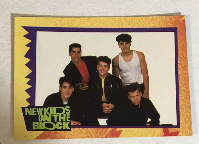 New Kids On The Block Trading Card NKOTB #38 Donnie Wahlberg Jordan Knight