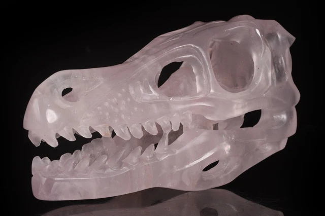 Coleccionables tallados en cristal de cuarzo rosa natural de 4,96" T-Rex creación mística