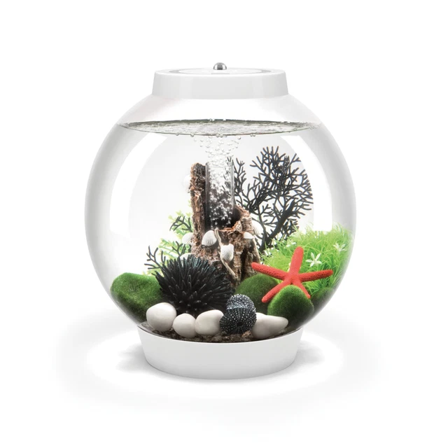 Oase biOrb CLASSIC 15 LED weiß Aquarium (EEK: A+, Spektrum: A++ - A)