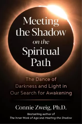 Connie Zweig Meeting the Shadow on the Spiritual Path (Taschenbuch)