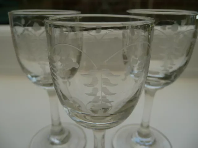 ANTIQUE Etched Wine Cordial Drinking Glasses VINES GRAPES Victorian Georgian Old