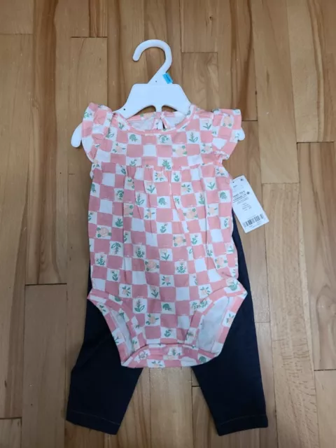 Carters Baby Girl Outfit 6 Months