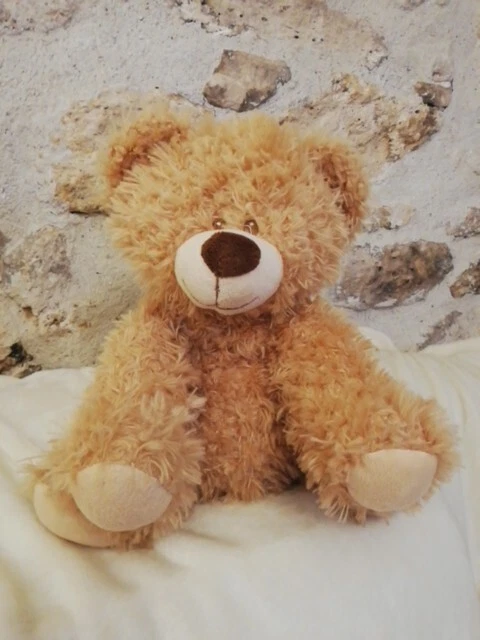 P9/ DOUDOU ET COMPAGNIE PELUCHE OURS BEIGE/CAFE MARRON 40CM