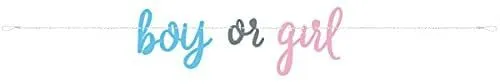 Unique - Boy Or Girl Letter Banner - Gender Reveal - 7Ft In Length