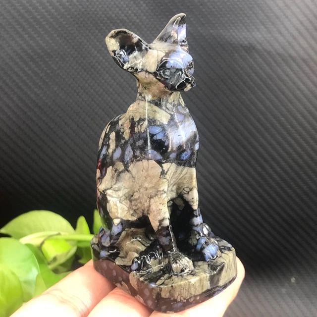 1pcs Natural llanite Hairless cat Skull Quartz Crystal Carved Figurines 3"