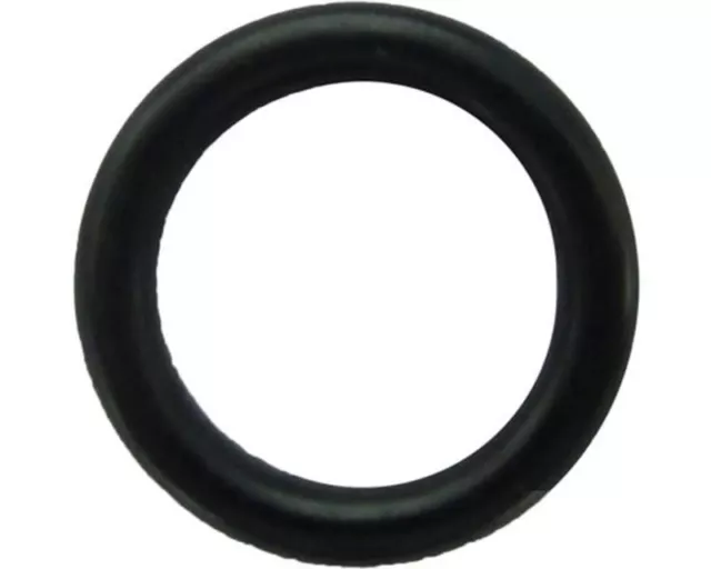 Rotax Max Genuine Power Valve Blade O-Ring Go Kart Karting Race Racing