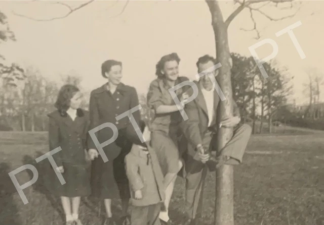 Vintage Photo Snapshot of Tree Hugger Man & Ladies 1940s Pretty Women Humor