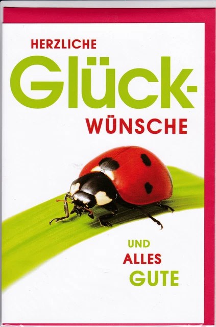 1 GLÜCKWUNSCHKARTE ZUM Geburtstag Karte Geburtstagskarte Marienkäfer