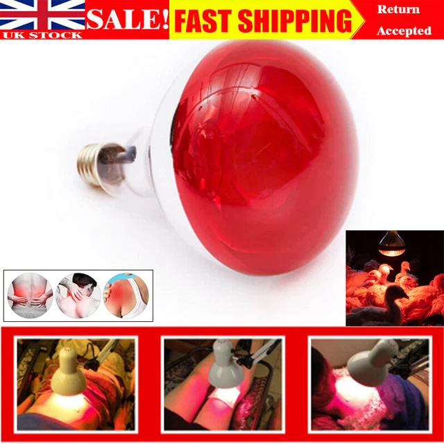 275W Infrared Lamp Human Body Physiotherapy Lamp Beauty Lamp Hatching Light UK