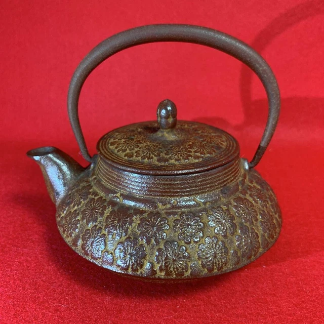 VINTAGE TETSUBIN NANBU Japanese Iron Teapot Handmade Tea Pot F/S 220.