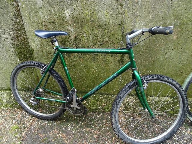 Raleigh amazon mountain 2025 bike