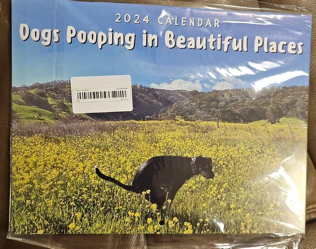 2024 CALENDAR FUNNY Dogs Pooping in Beautiful Places. Wall Hangable,USA