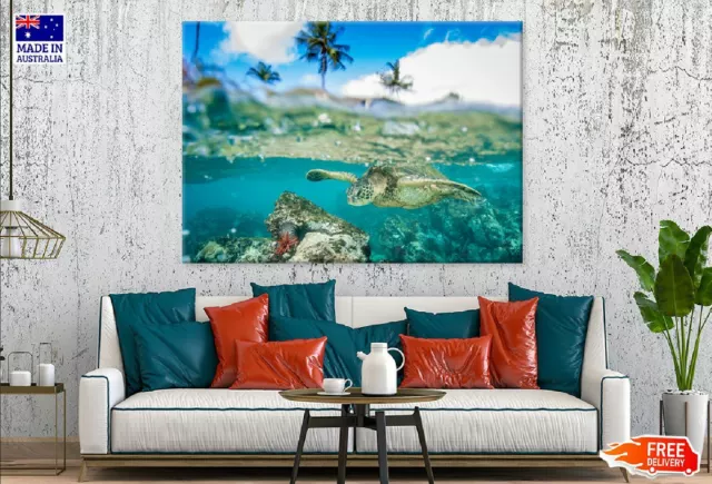 Hawaiian Green Sea Turtle View Wall Canvas Home Decor Australian Made Quality