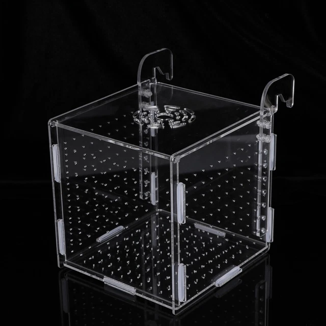 Aquarium Incubator Fish Tank Breeding Isolation Box Aquarium Breeder Box