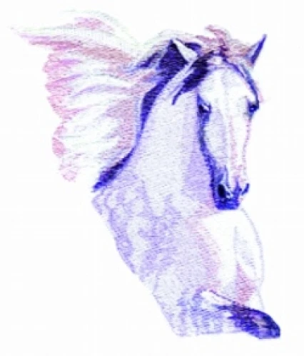 Embroidered Sweatshirt - Andalusian Horse BT3731 Sizes S - XXL
