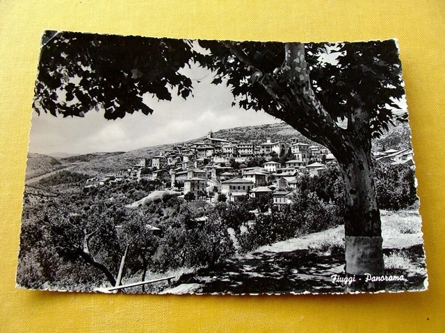 (FG.A51) FIUGGI FONTE - PANORAMA DELLA CITTÀ (vg 1954) Frosinone, terme