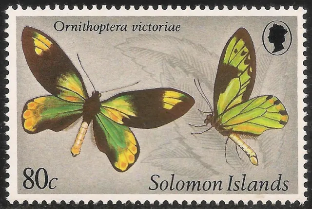 Solomon Islands #434 VF MNH - 1980 80c Ornithoptera Victoriae Butterfly