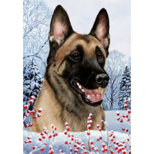Winter Garden Flag - Belgian Malinois 152511