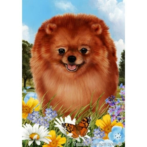 Summer Garden Flag - Red Pomeranian 180131
