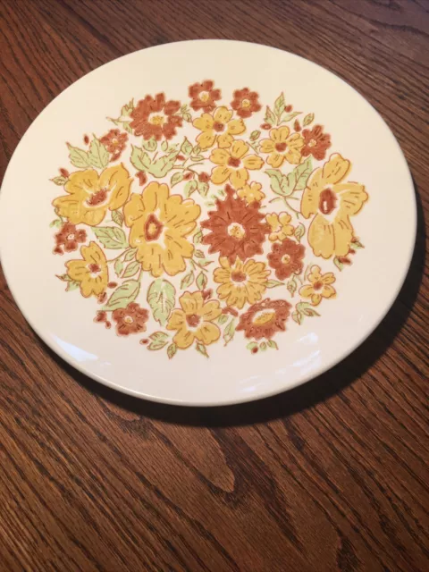 Taylor Smith Taylor Ironstone Florabunda Dinner Plate