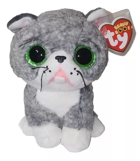 Ty Beanie Boos - FERGUS the Cat (6 Inch) 2023 NEW MWMT Stuffed Animal Plush Toy