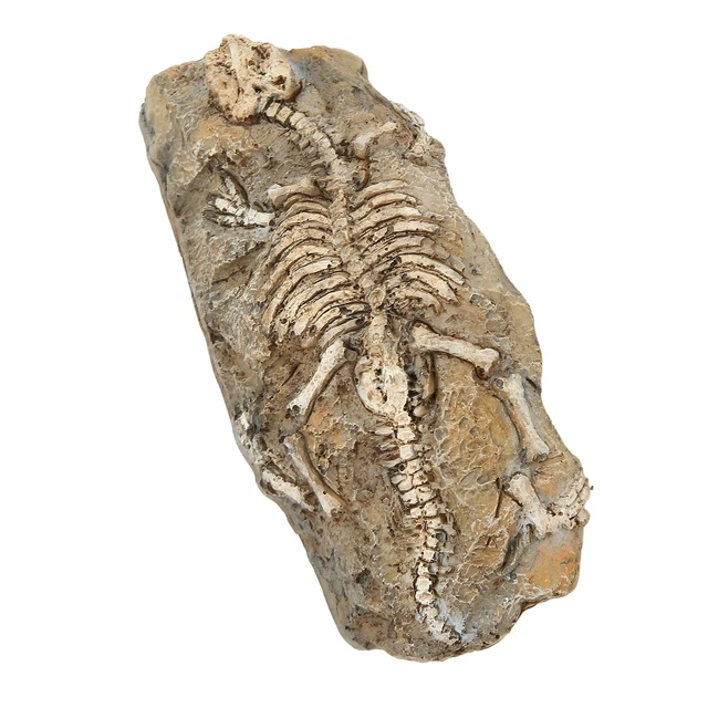 Aquarium Dinosaure Décoration Reptile Résine Dinosaure Rock Hi OBD