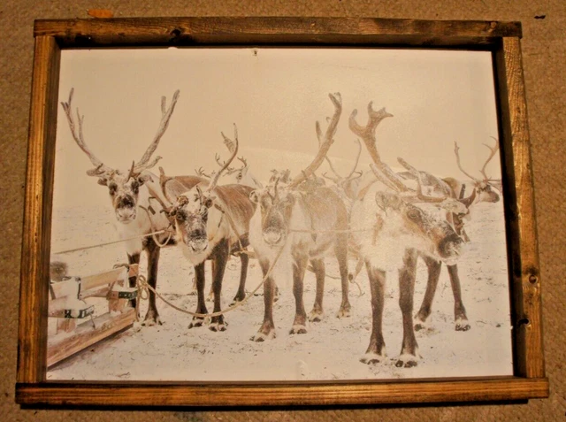 Snow Covered REINDEER Wood Framed Photo Print 13" x 17"