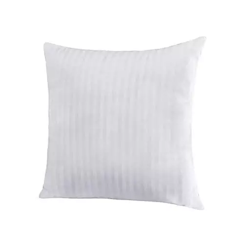 EvZ Homie Premium Stuffer Pillow Insert Sham Square Form Polyester, 22" L X 22"