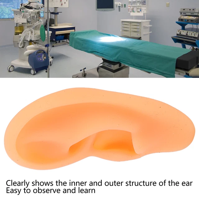 Molde de exhibición de orejas de silicona modelo de oreja (derecho) para audífonos TDM