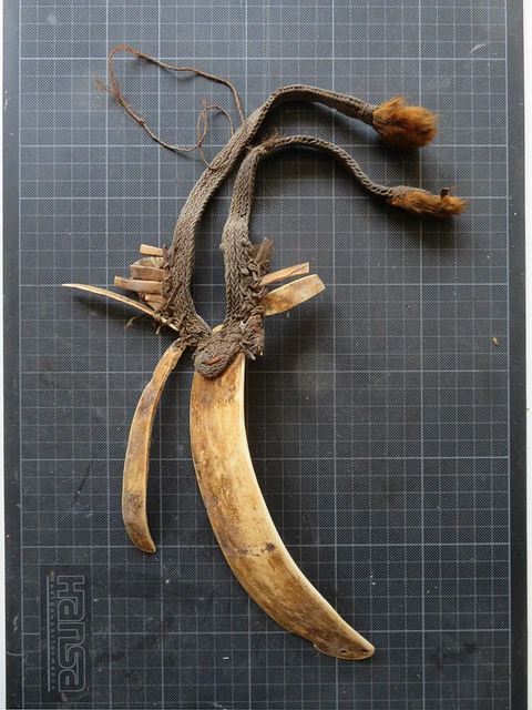 Bailer-Shell Halskette, Headhunter/Krieger der Asmat/Dani, Papua-Neuguinea, no 3