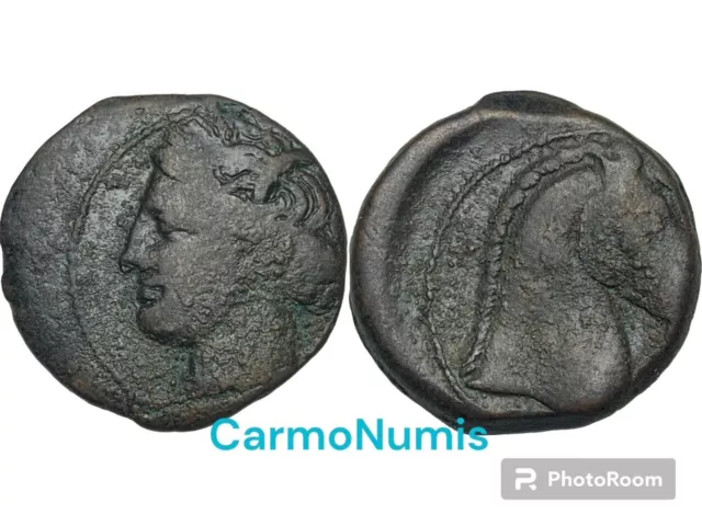 Cartago, Shekel, c.300-264 aC. [GRE_112]