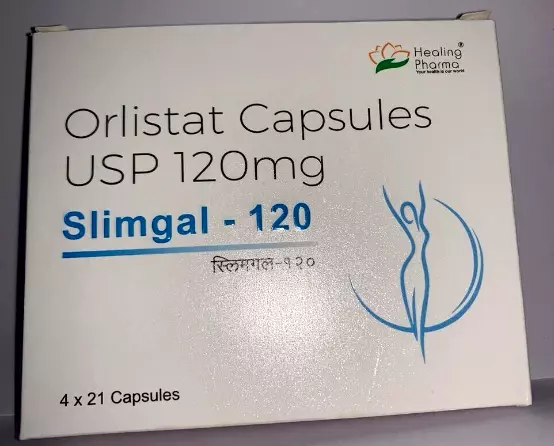 SLIMGAL-120mg 84 Capsules Weight loss course | Free Shipping 2